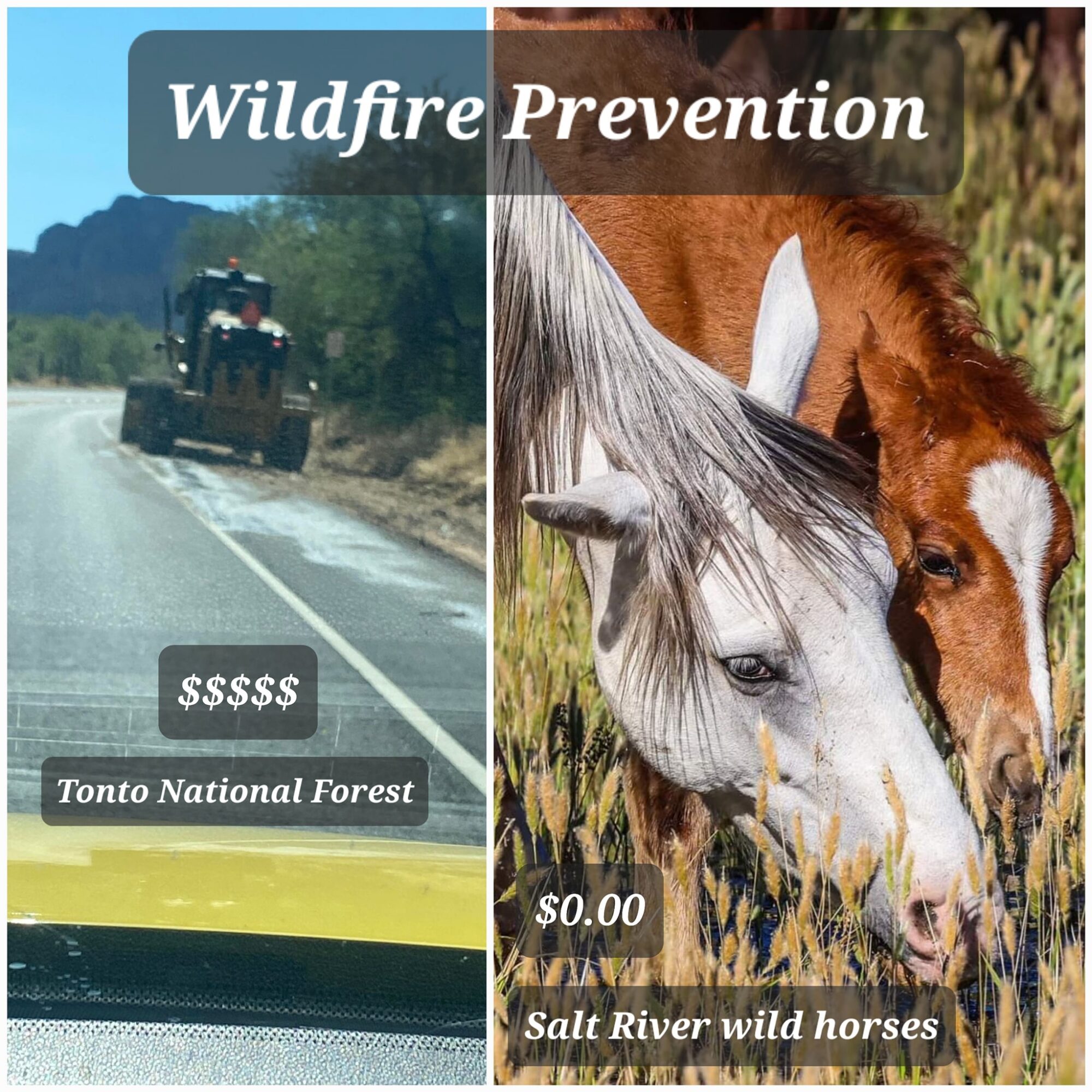 Fire prevention is a very important job they are doing for all of us!