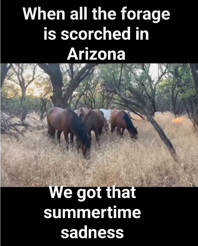 We got that summertime sadness.