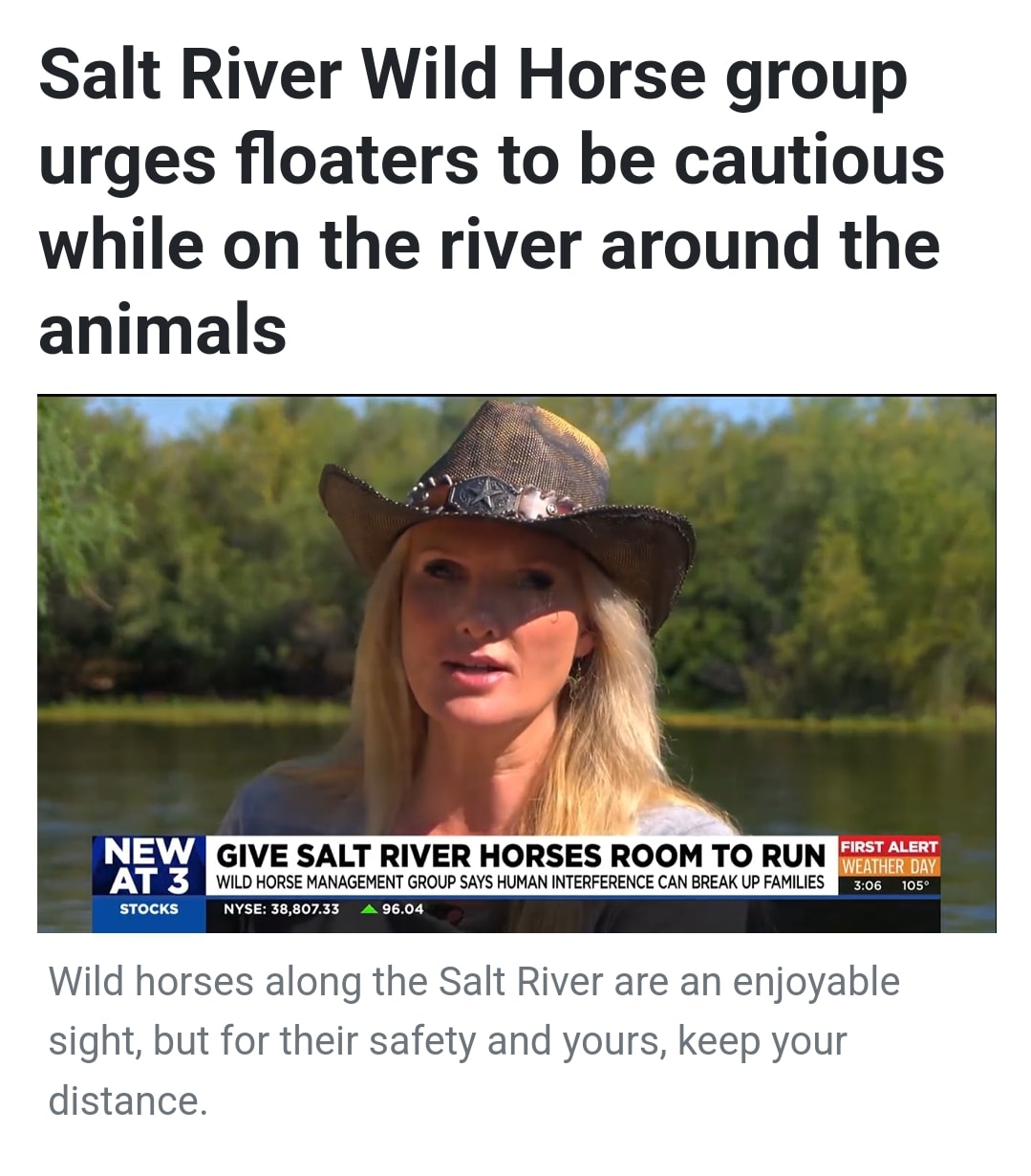 3TV: Salt River Wild Horse group urges floaters to be cautious while on the river around the animals