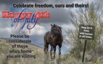 Freedom, is it not the most important thing?
