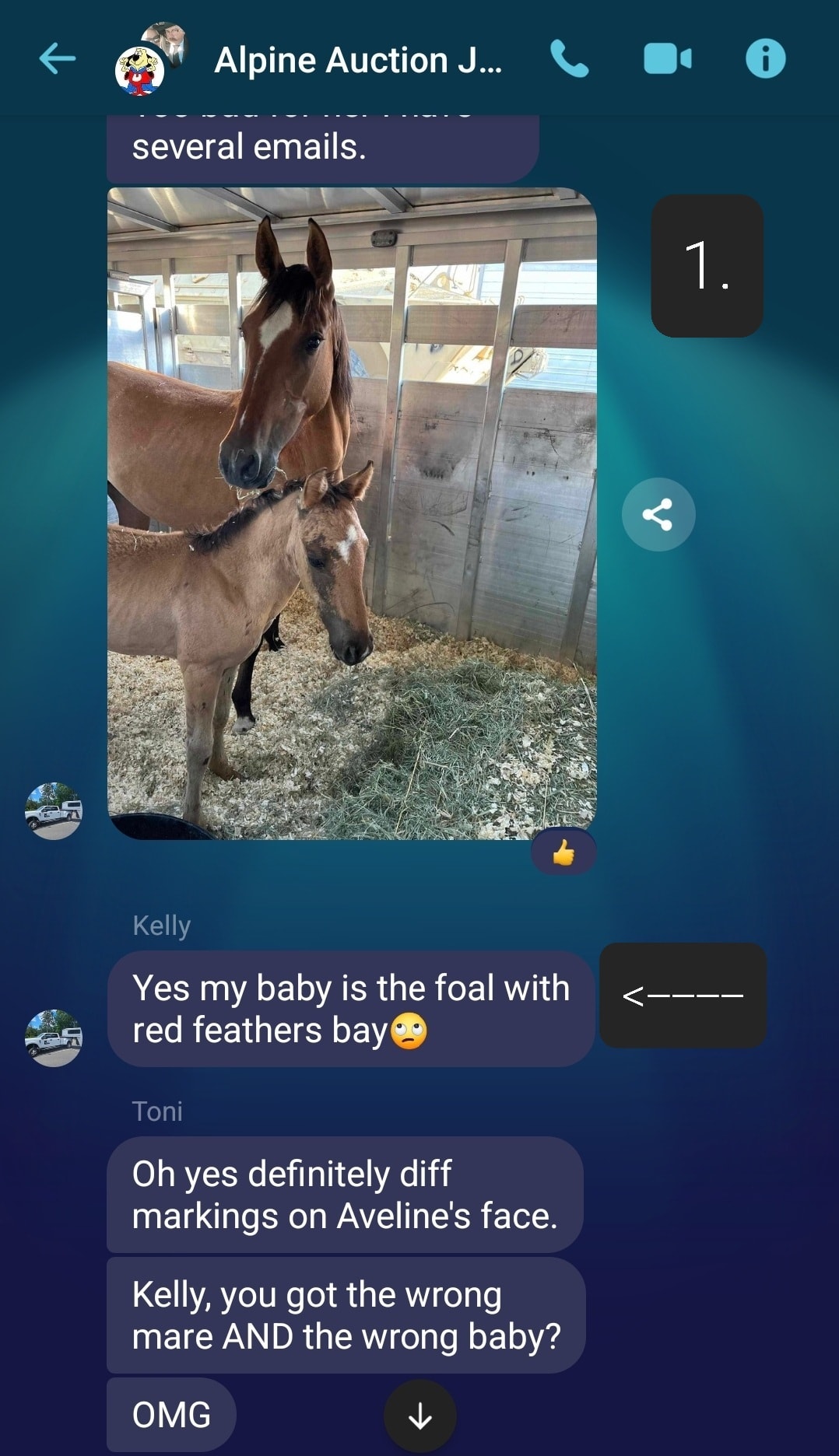 6 horses are all mixed up.