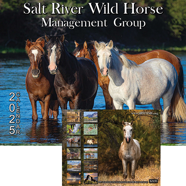 Yesss, our 2025 Salt River Wild Horse Calendar!!