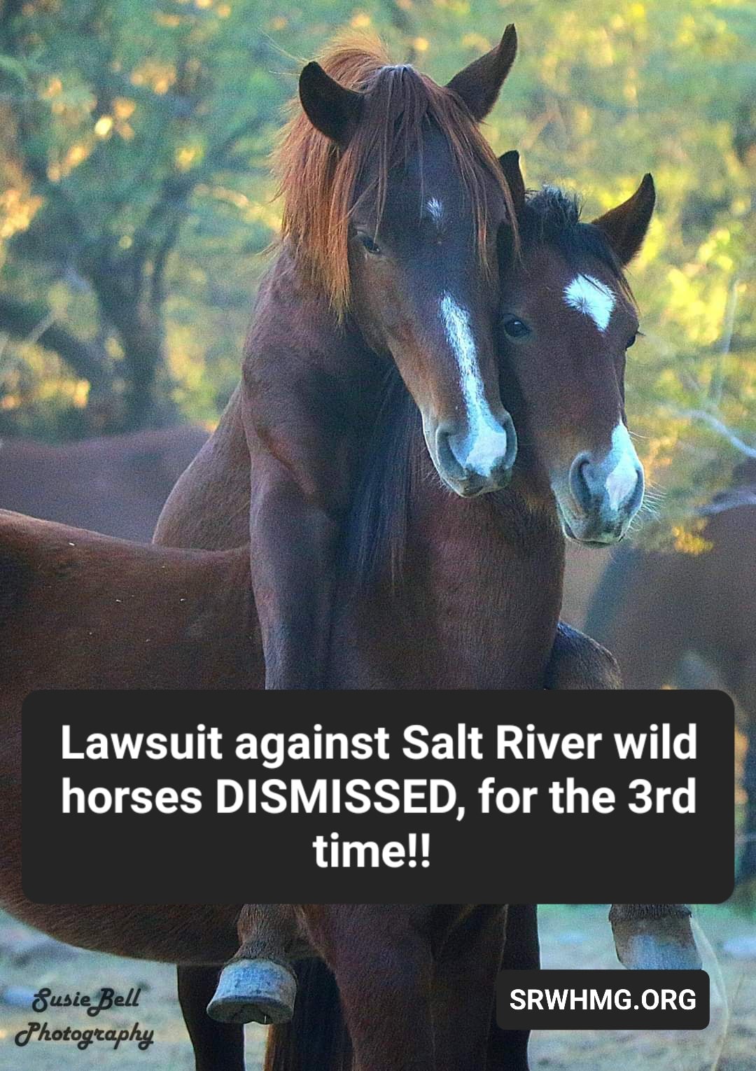 ‼️VICTORY!‼️Lawsuit dismissed again!