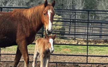 Guess who had a beautiful baby boy!