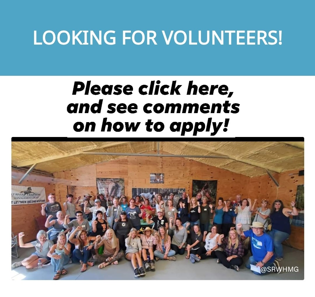 Looking for volunteers!
