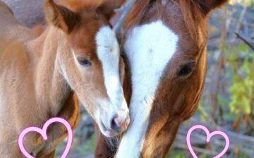 💕Love is a survival skill!