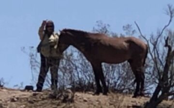 Please be aware! “Arizona Salt River Wild Horses” Facebook page is not us!