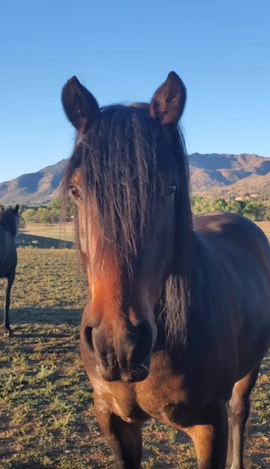 I was asking the wise Apache for his spiritual advice this beautiful morning.