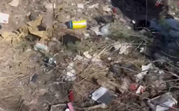 The claim is that the horses “ruin” the environment.