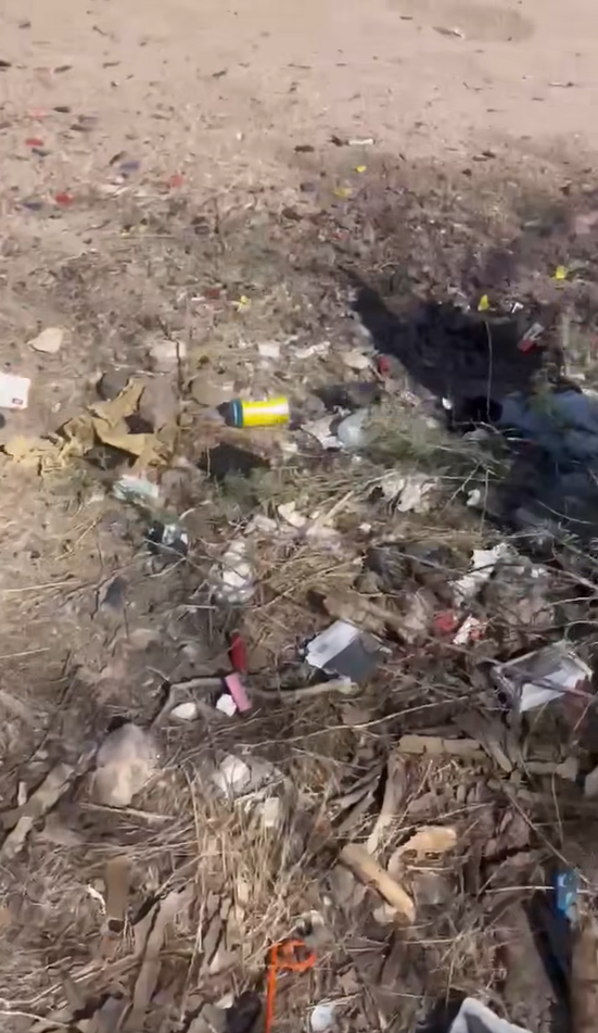 The claim is that the horses “ruin” the environment.