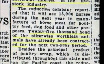📚 History Lessons – Part 1 📰 “Phoenix Concern Eliminating Wild Horses From State”