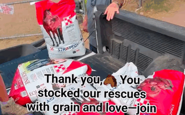 Your generosity stocked our feed room with grain for our Salt River Rescues!