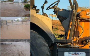 Grateful for Community Support