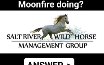 How’s Moonfire doing? Answer: Great!