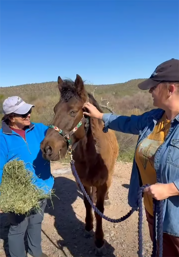 Please share  because no horse should ever be left behind! ❤️
