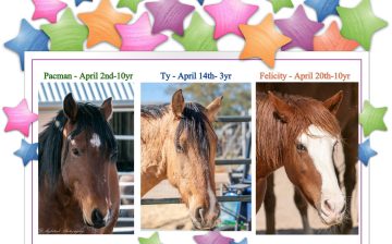 Today we’re celebrating our April rescue birthdays! 🎉